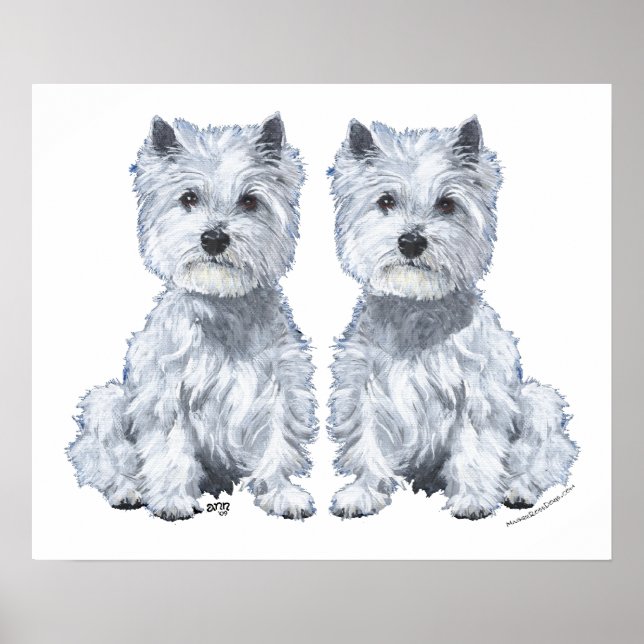 Affiche West Highland White Terrier Twins ! (Devant)