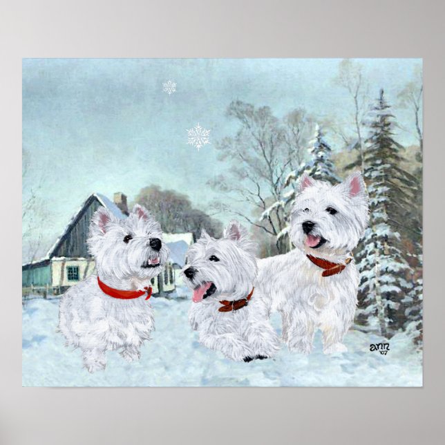 Affiche West Highland White Terriers dans la neige (Devant)