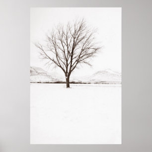 Affiche West Texas BLizzard