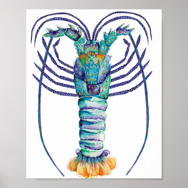 Affiche Western Australian Painted Rock Lobster  (Devant)