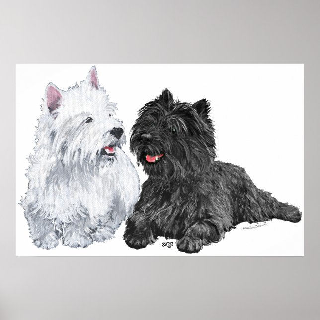 Affiche Westie avec un Cairn Terrier noir (Devant)