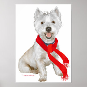 Affiche Westie d'hiver dans une écharpe rouge