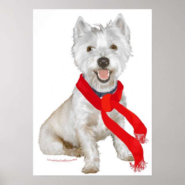 Affiche Westie d'hiver dans une écharpe rouge (Devant)