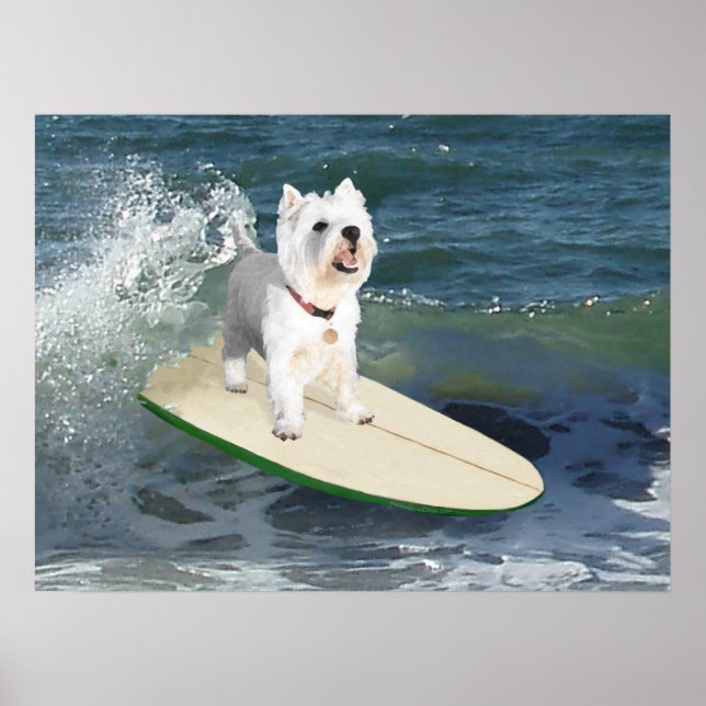 Affiche Westie Surfeur (Devant)