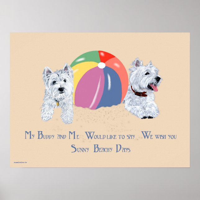 Affiche Westies avec un ballon de plage (Devant)