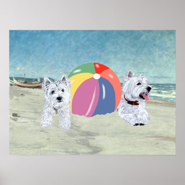 Affiche Westies avec un ballon de plage (Devant)