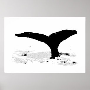 Affiche Whale decorative