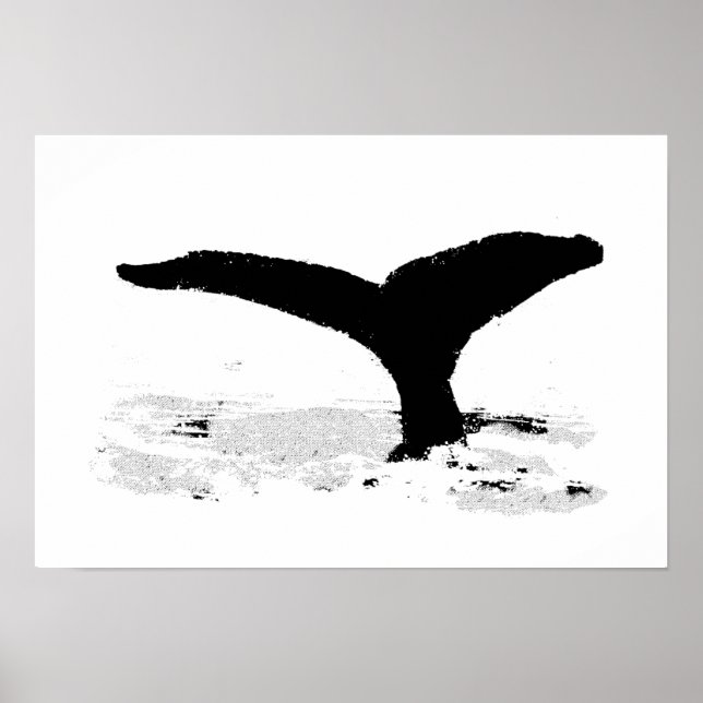 Affiche Whale decorative (Devant)
