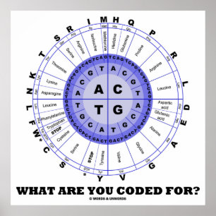 Affiche What Are You Coded For ? (Amino Acid Wheel)