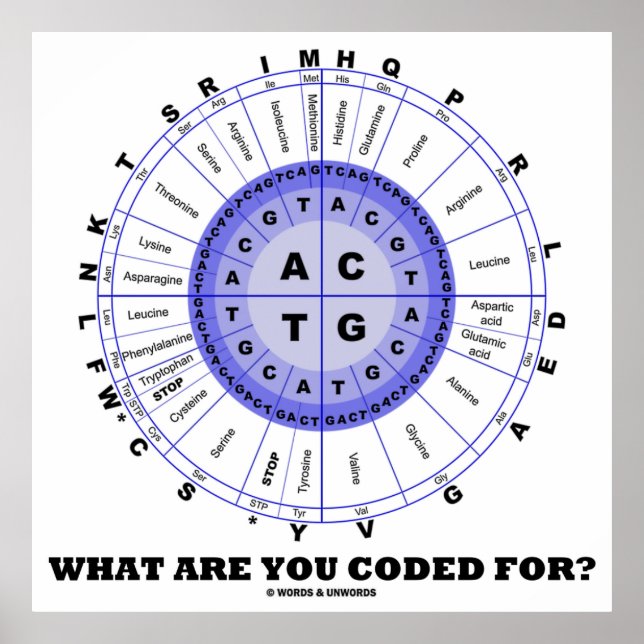 Affiche What Are You Coded For ? (Amino Acid Wheel) (Devant)