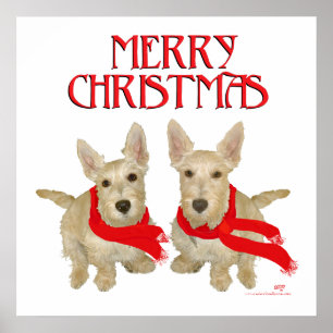 Affiche Wheaten Scottish Terrier Noël