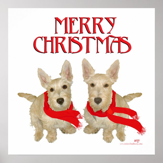 Affiche Wheaten Scottish Terrier Noël (Devant)