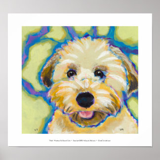 Affiche Wheatens Go Beyond Cute fun coloré chien art
