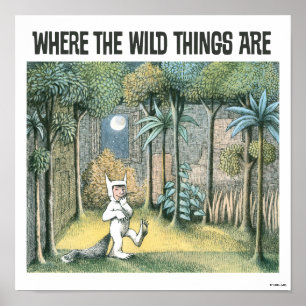 Affiche Where The Wild Things Are Scène 4