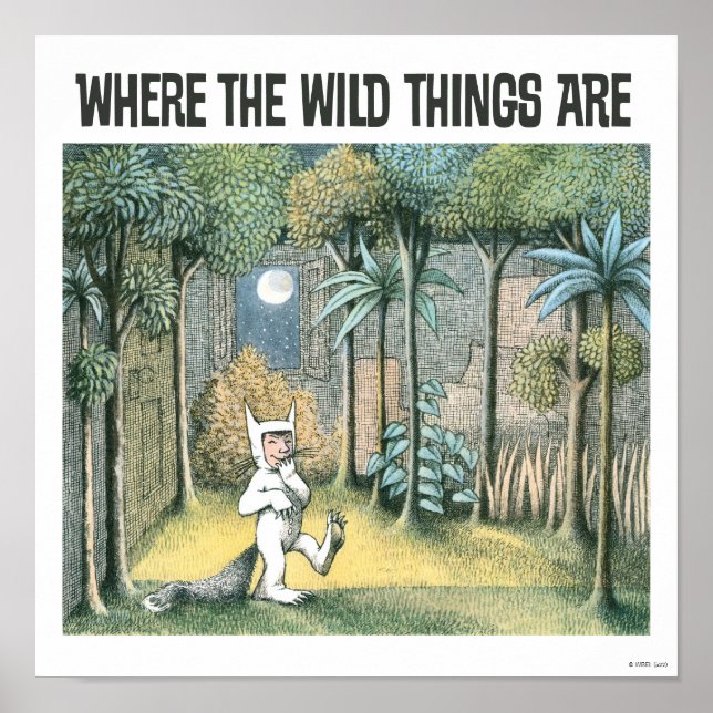 Affiche Where The Wild Things Are | Scène 4 (Devant)