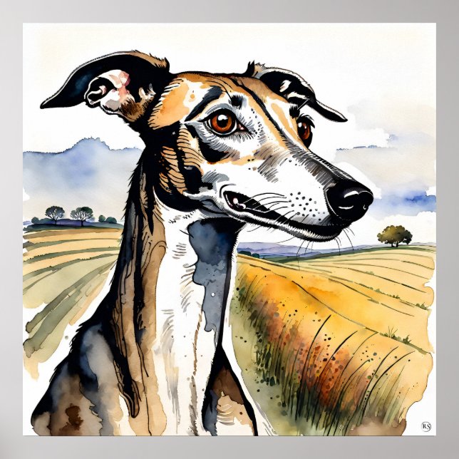 Affiche Whippet Dog - Chien Art Imprimer (Devant)