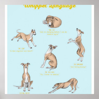 Affiche Whippet language | Whippet Canvas