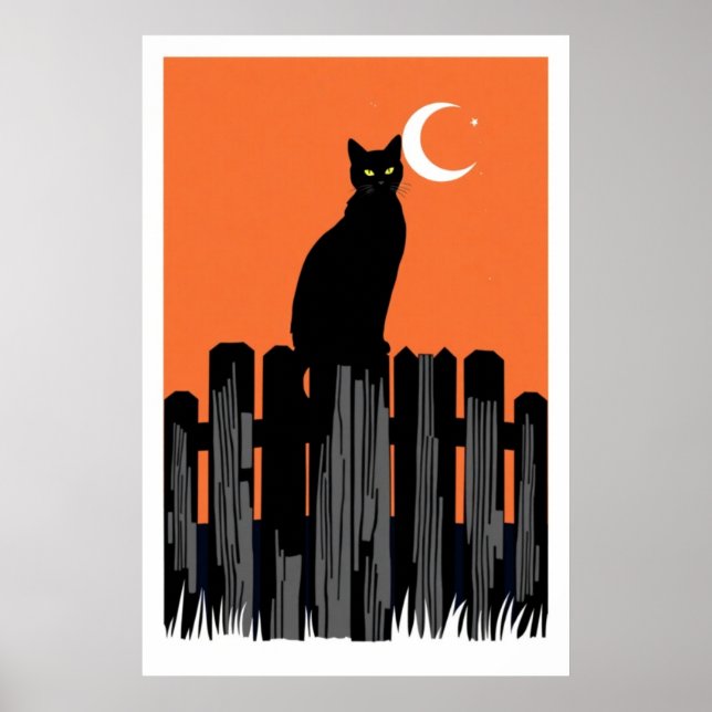 Affiche Whiskers de la Nuit (Devant)