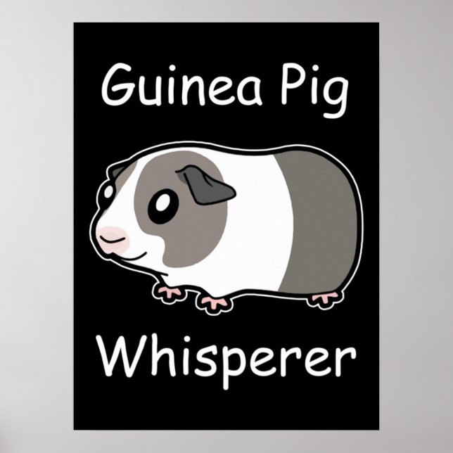Affiche Whisperer de porc de Guinée (Devant)