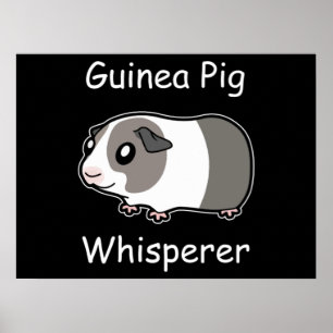 Affiche Whisperer de porc de Guinée
