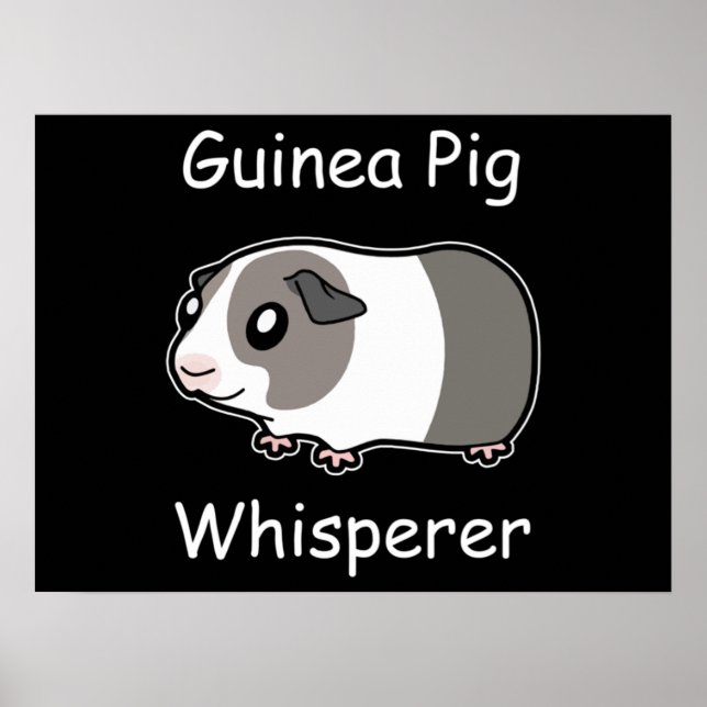 Affiche Whisperer de porc de Guinée (Devant)