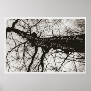 Affiche Whispers nature