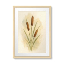 Whispers of the Marsh – Cattail Botanical