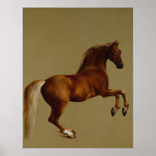 Affiche Whistlejacket Race Horse par George Stubbs