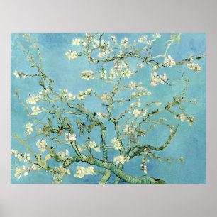 Affiche White almond blossom by Vincent Van Gogh