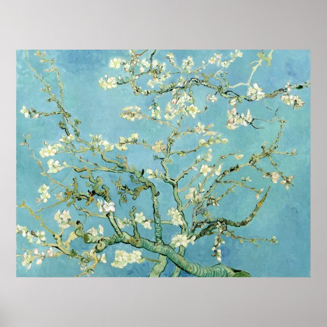 Affiche White almond blossom by Vincent Van Gogh (Devant)