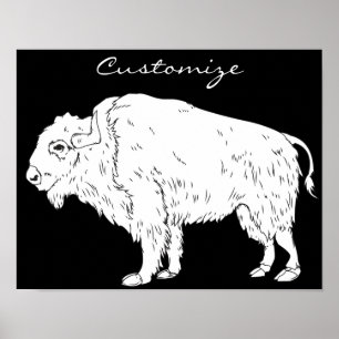 Affiche White Buffalo Thunder_cove