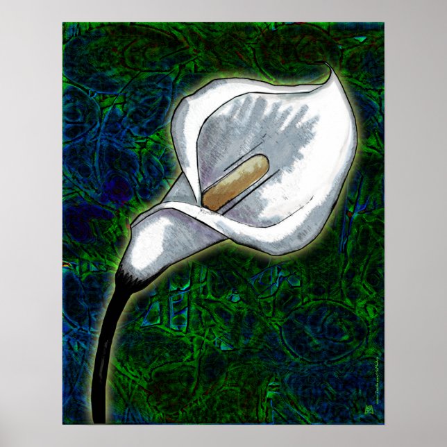 Affiche White Calla Lily (Poster Semi-Gloss) (Devant)