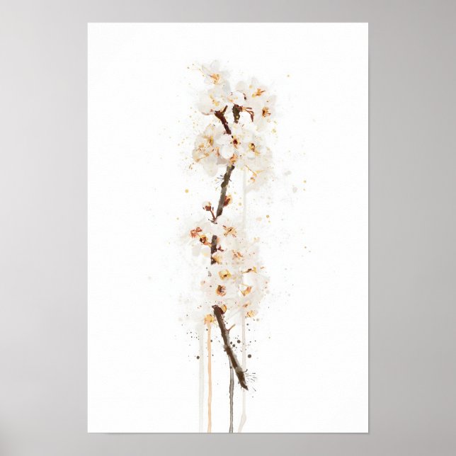 Affiche White Cherry Blossom (Devant)