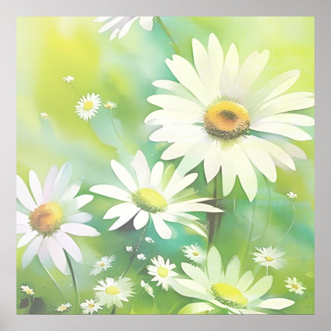 Affiche White Daisies (Devant)