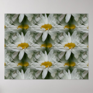 Affiche White Daisy Raindrops Fleur Abstrait