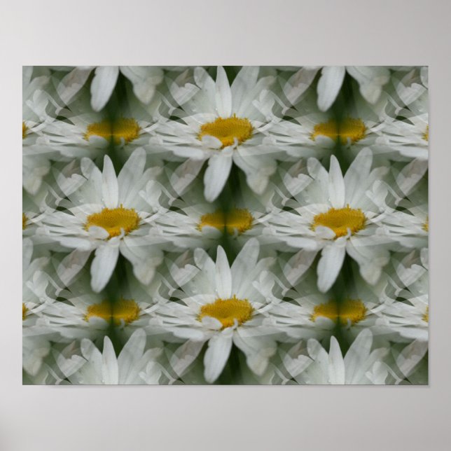Affiche White Daisy Raindrops Fleur Abstrait (Devant)