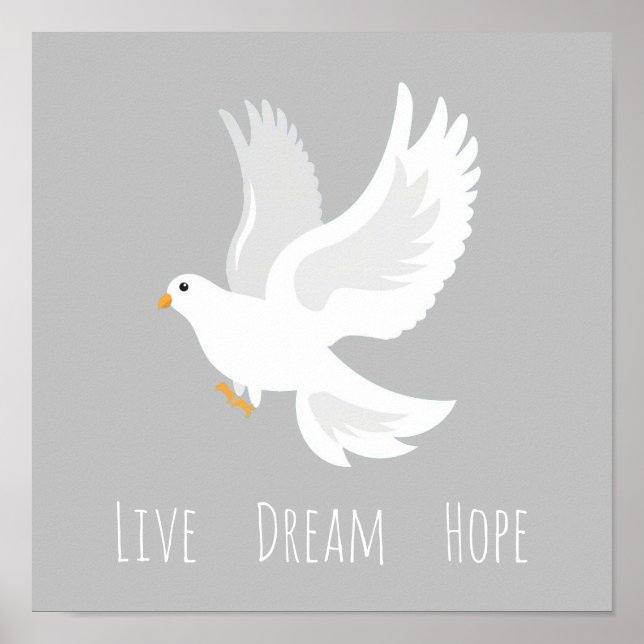 Affiche White dove bird on grey (Devant)