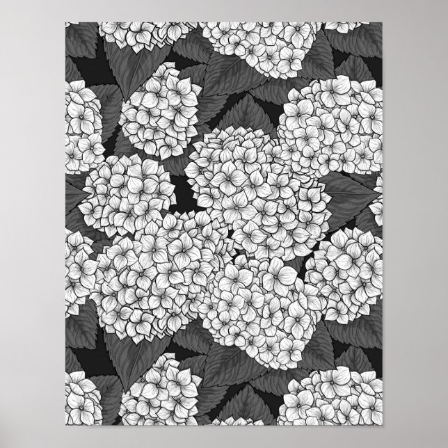 Affiche White hydrangea (Devant)