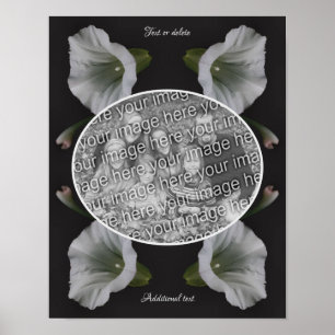 Affiche White Morning Glory Flower Créez votre propre phot