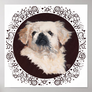 Affiche White Pekingese Head Study