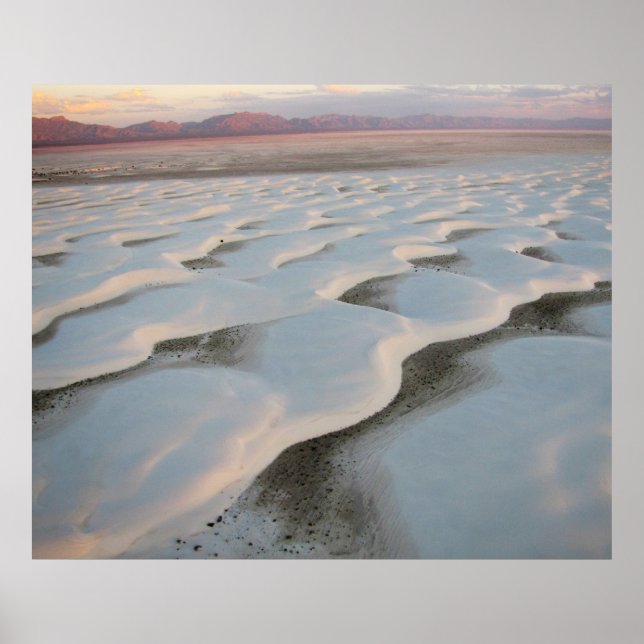 Affiche White Sands Sunrise (Devant)