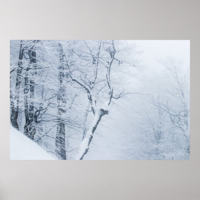 Affiche Whiteout (Devant)