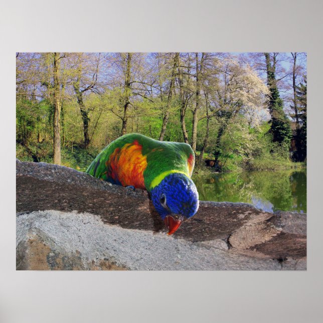 Affiche Who are you ? Cute Lori (Devant)