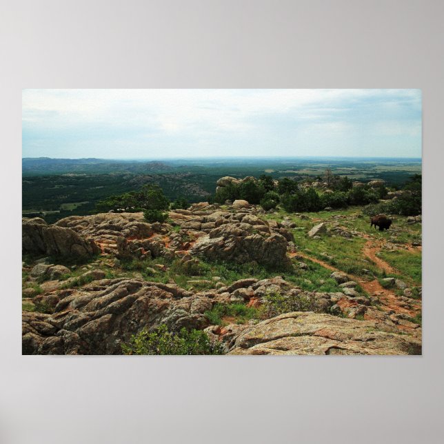 Affiche Wichita Mountains Vista avec American Bison (Devant)
