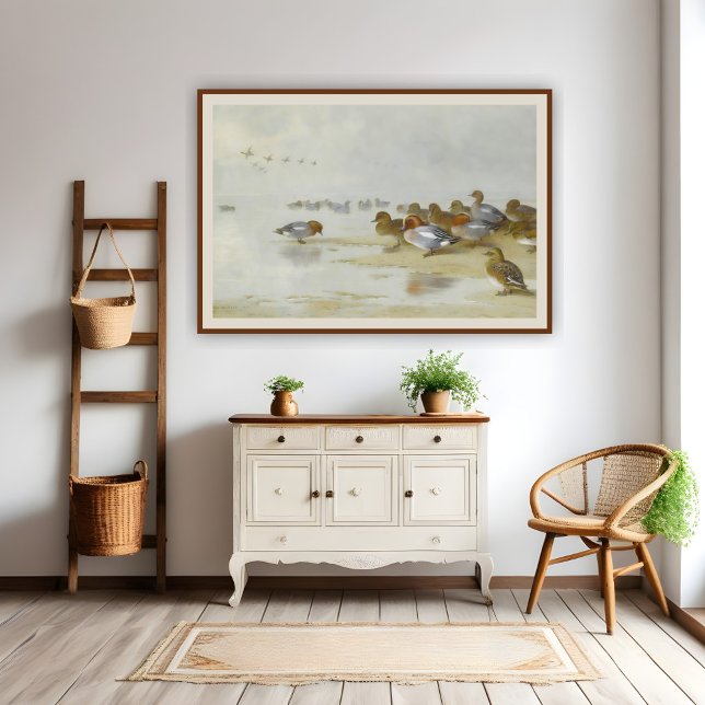 Affiche Wigeon et Turquoise au bord de l'eau, Art (Créateur téléchargé)