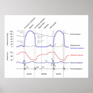 Affiche Wiggers Diagram cardiaccycle events left ventricle