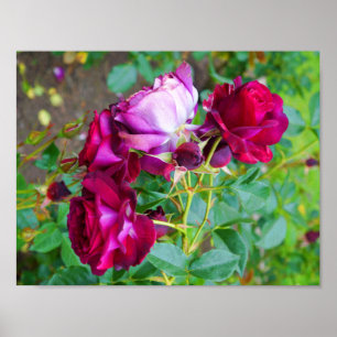 Affiche Wild Blue Yonder s'est levé l'affiche #1