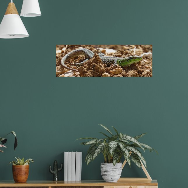Affiche Wild Lizard Nature Photographie Rustique (Salon 1)