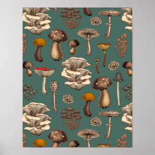 Affiche Wild Mushrooms