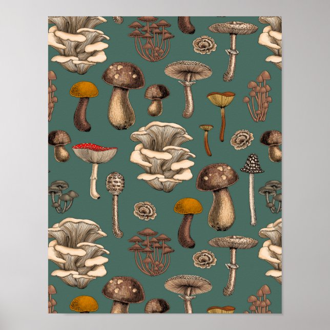 Affiche Wild Mushrooms (Devant)
